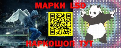 гашик Малгобек