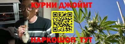 гашик Малгобек